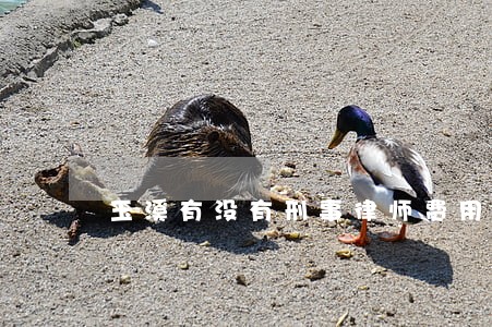 玉溪有没有刑事律师费用是多少 玉溪有没有刑事律师费用是多少