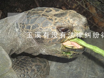 玉溪有没有法律纠纷律师要多少钱 玉溪有没有法律纠纷律师要多少钱