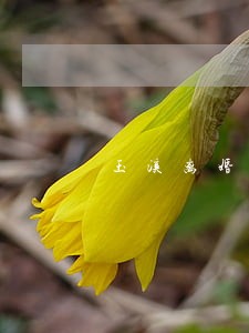 玉溪离婚律师哪里找靠谱 玉溪离婚律师哪里找靠谱