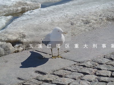 玉溪红塔区重大刑事案律师查询