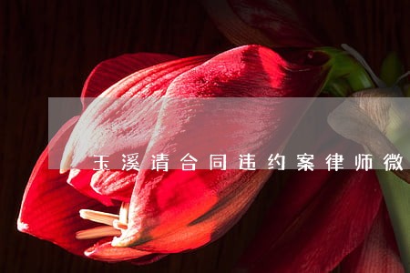 玉溪请合同违约案律师微信咨询 玉溪请合同违约案律师微信咨询