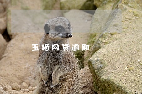 玉猫网贷逾期 玉猫网贷逾期