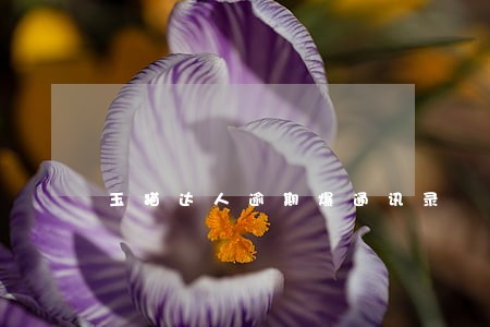 玉猫达人逾期爆通讯录 玉猫达人逾期爆通讯录