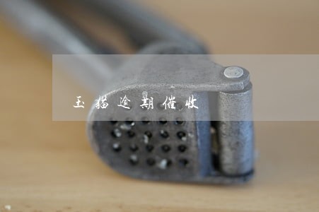 玉猫逾期催收