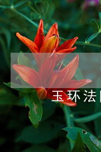 玉环法院图片 玉环法院图片