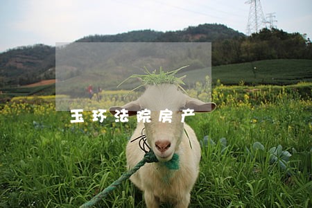 玉环法院房产