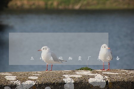 玉环法院拍卖厂房设备 玉环法院拍卖厂房设备