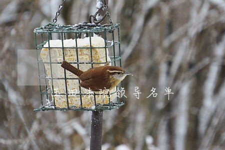 玉田法院领导名单
