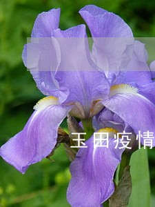 玉田疫情期间车检逾期的 玉田疫情期间车检逾期的
