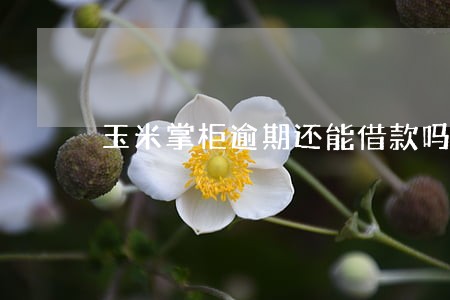玉米掌柜逾期还能借款吗