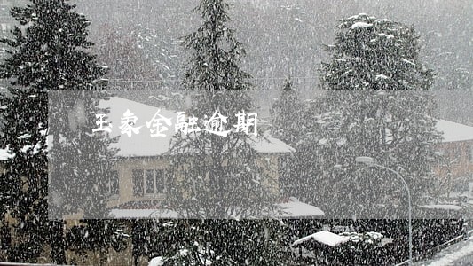 玉象金融逾期