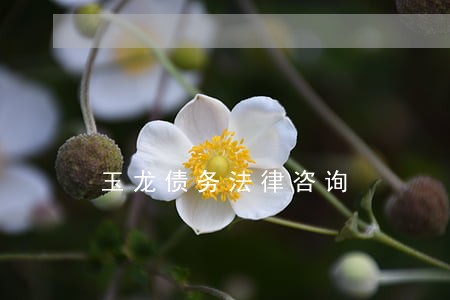 玉龙债务法律咨询 玉龙债务法律咨询