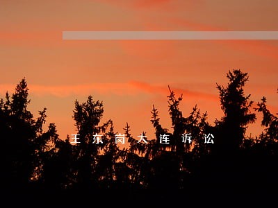 王东岗大连诉讼 王东岗大连诉讼