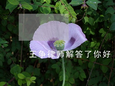 王争律师解答了你好 王争律师解答了你好