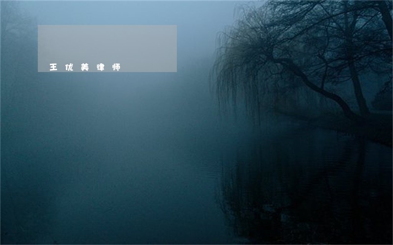 王优美律师 王优美律师