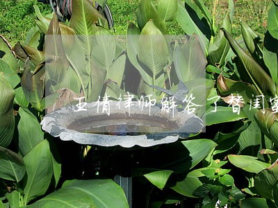 王倩律师解答了替闺蜜问下 王倩律师解答了替闺蜜问下
