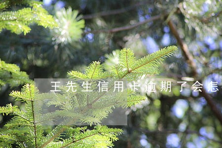 王先生信用卡逾期了会怎样