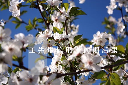王先生信用卡逾期后果 王先生信用卡逾期后果