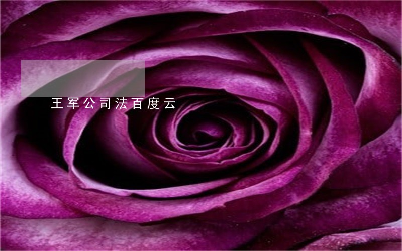 王军公司法百度云