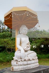 王利律师解答了是这样的 王利律师解答了是这样的