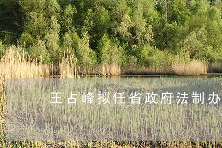 王占峰拟任省政府法制办主任 王占峰拟任省政府法制办主任