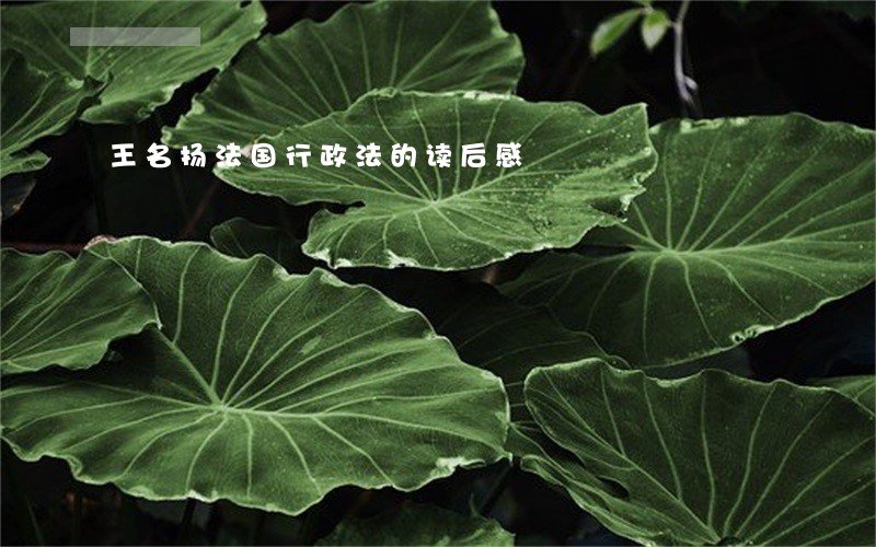 王名扬法国行政法的读后感 王名扬法国行政法的读后感