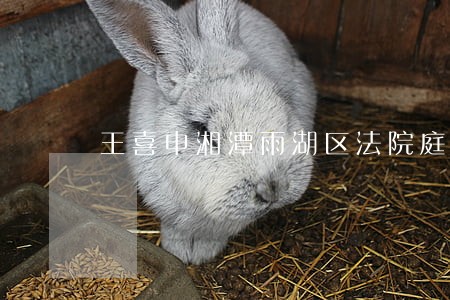 王喜申湘潭雨湖区法院庭长 王喜申湘潭雨湖区法院庭长