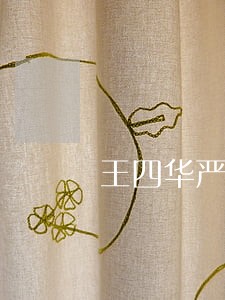 王四华严重违纪违法案件 王四华严重违纪违法案件