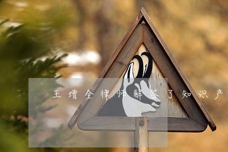 王增全律师解答了知识产权的案子