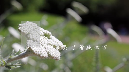王威律师解答了借款四万 王威律师解答了借款四万