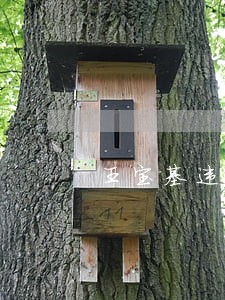 王宝基违法被判几年