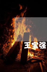 王宝强律师四字霸气回应 王宝强律师四字霸气回应