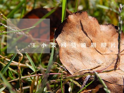 王小波网贷逾期照片 王小波网贷逾期照片