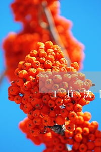 王庄法院你给我个说法 王庄法院你给我个说法