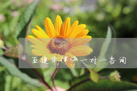 王建华律师一对一咨询 王建华律师一对一咨询