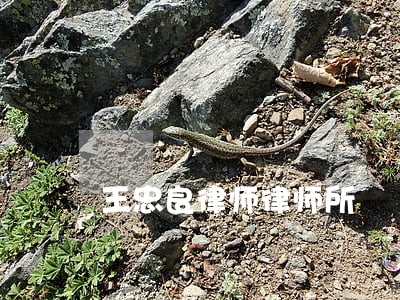 王忠良律师律师所 王忠良律师律师所
