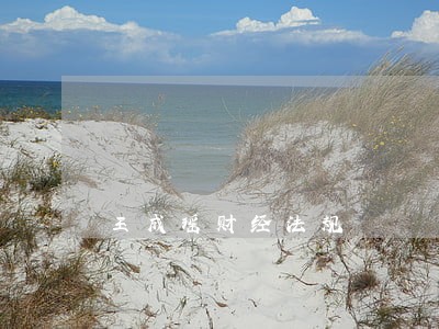 王成瑶财经法规 王成瑶财经法规