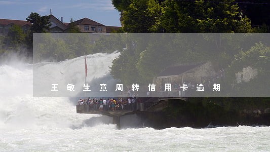 王敏生意周转信用卡逾期 王敏生意周转信用卡逾期