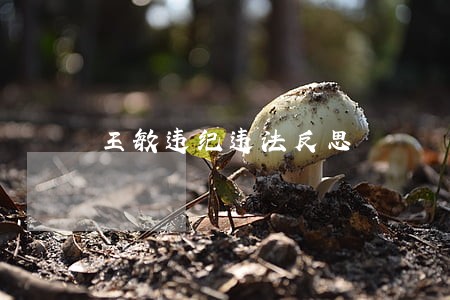 王敏违纪违法反思 王敏违纪违法反思