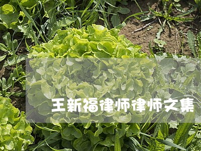 王新福律师律师文集 王新福律师律师文集