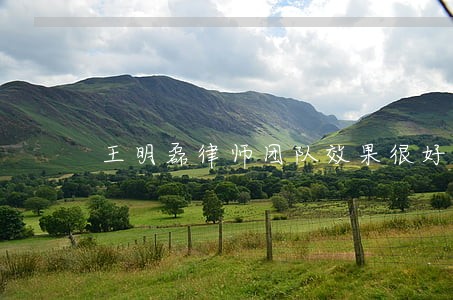 王明磊律师团队效果很好