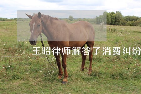 王昭律师解答了消费纠纷 王昭律师解答了消费纠纷