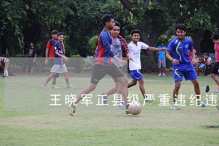 王晓军正县级严重违纪违法 王晓军正县级严重违纪违法