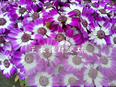 王权理财逾期