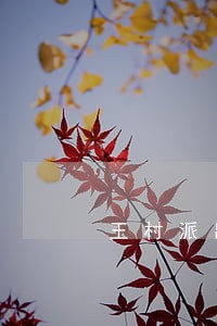 王村派出所抓获盗窃违法行为人 王村派出所抓获盗窃违法行为人