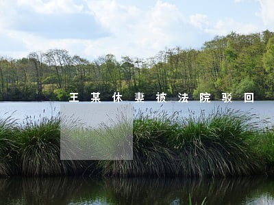 王某休妻被法院驳回 王某休妻被法院驳回