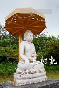 王树凯法律顾问 王树凯法律顾问