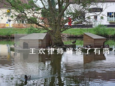 王欢律师解答了有两个小孩 王欢律师解答了有两个小孩
