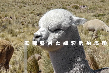 王泽鉴对大陆实务的作用