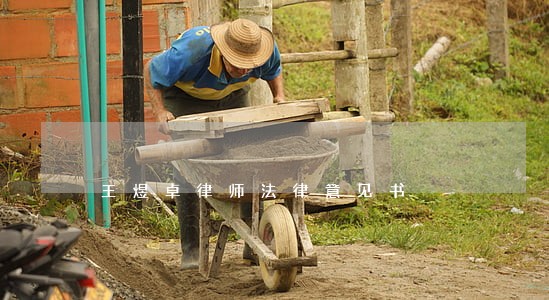 王煜卓律师法律意见书